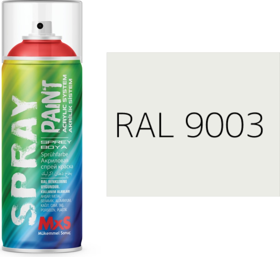 Premium Özel Yapım Çamaşır Makinesi Sprey Boya 400 Ml+Zımpara
