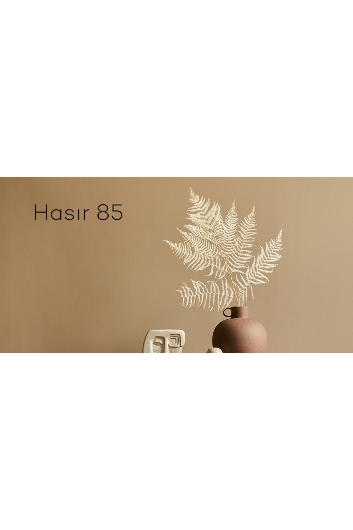 Momento Silan Silinebilir Ipeksi Mat Içcephe Duvar Boyası 15lt Hasır85