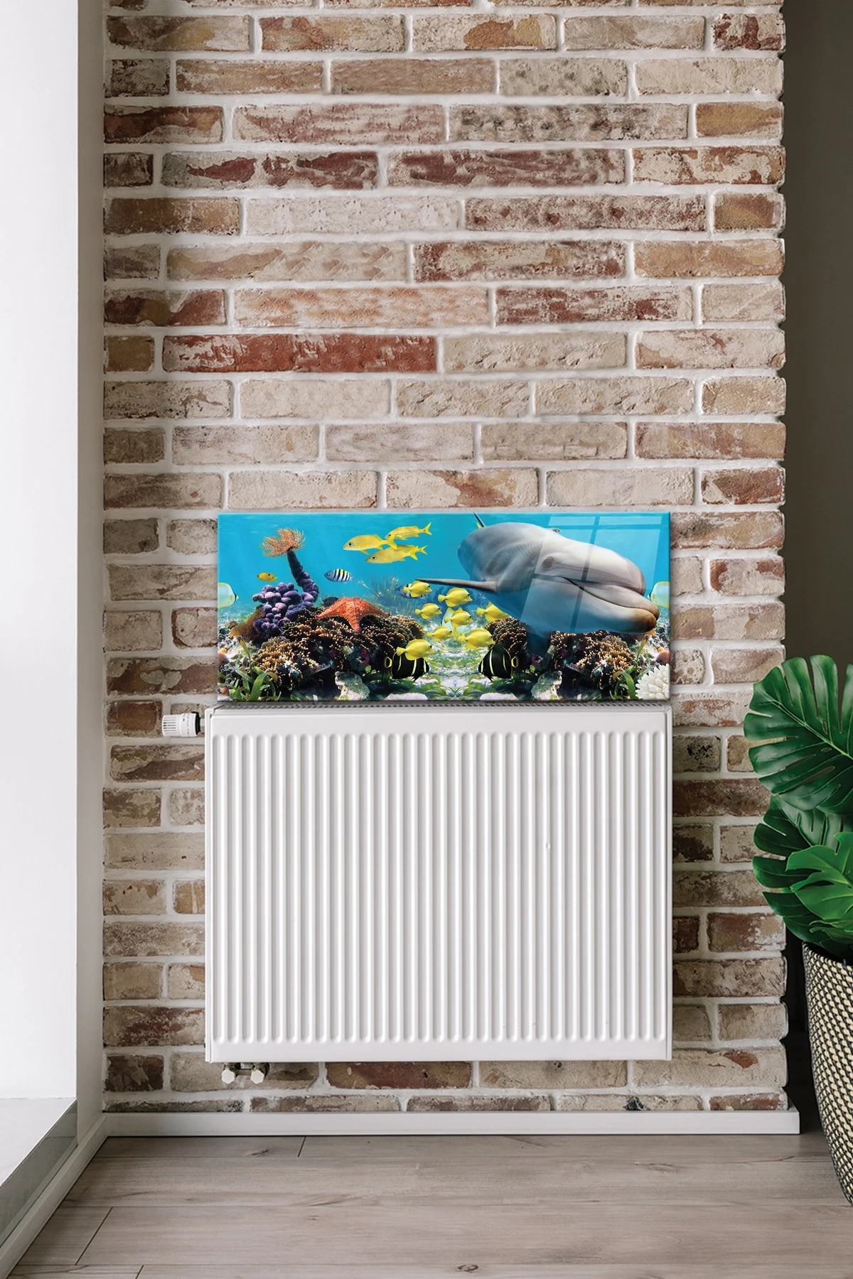 Petek Üstü Cam | Yunuslu Akvaryum | 50cm X 120cm