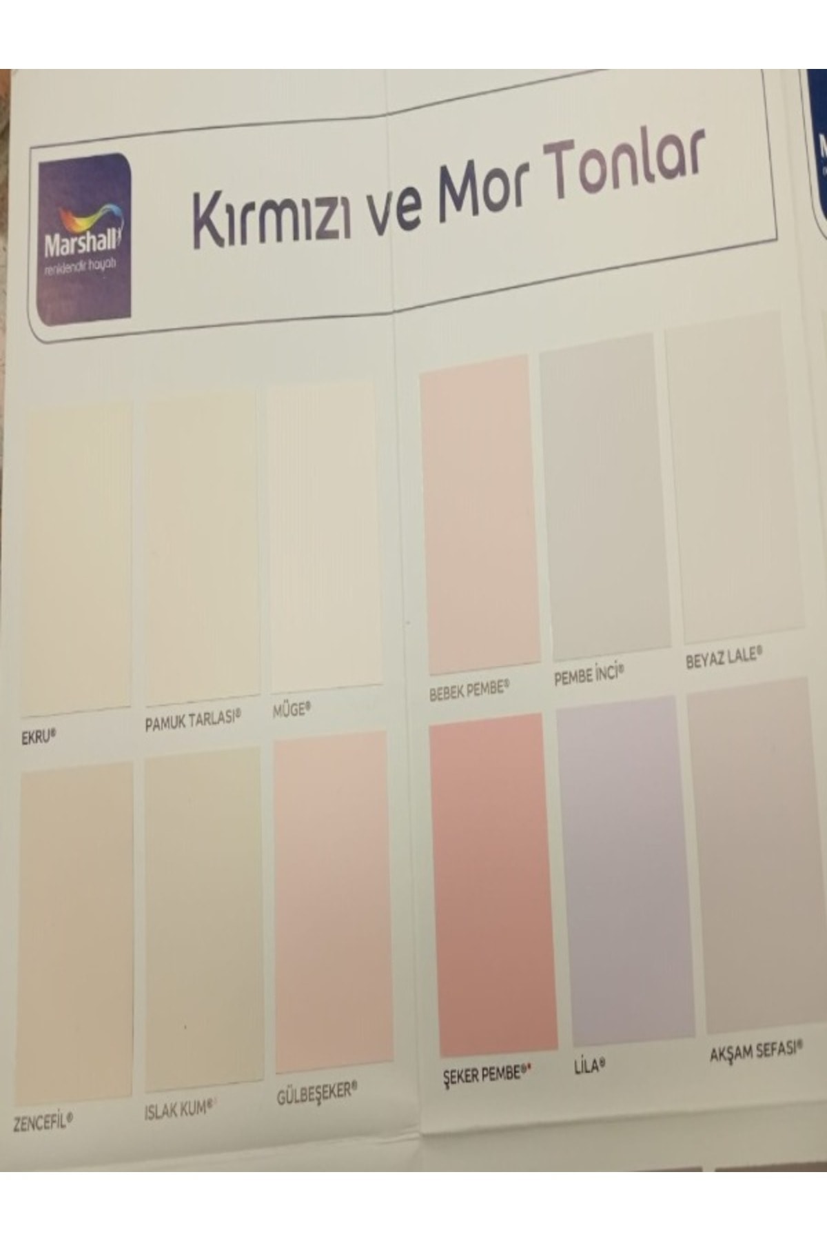 OZKUVVET MAXIMUM SİL.İPEK MAT BW BAZ 2,5 LT İÇ CEPHE