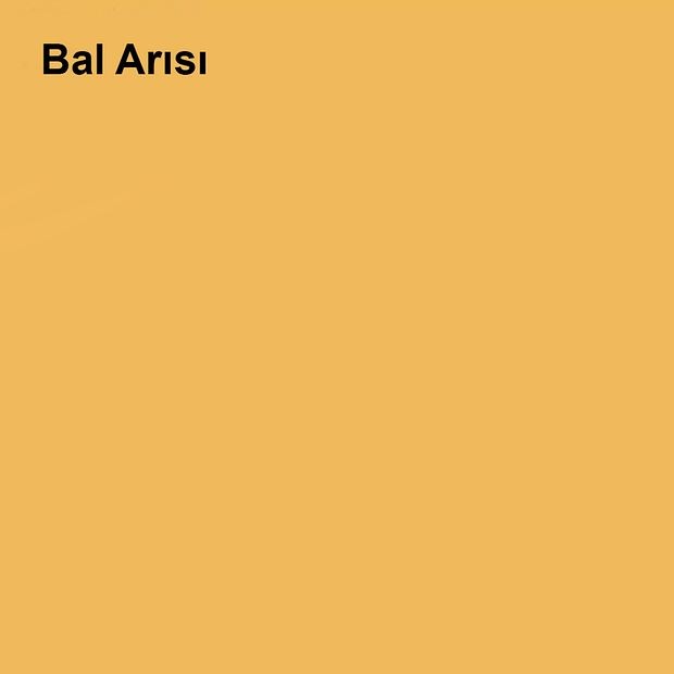 Pastel Yarı Mat Boyası Bal Arısı 2,5 Lt (3,5 LT)