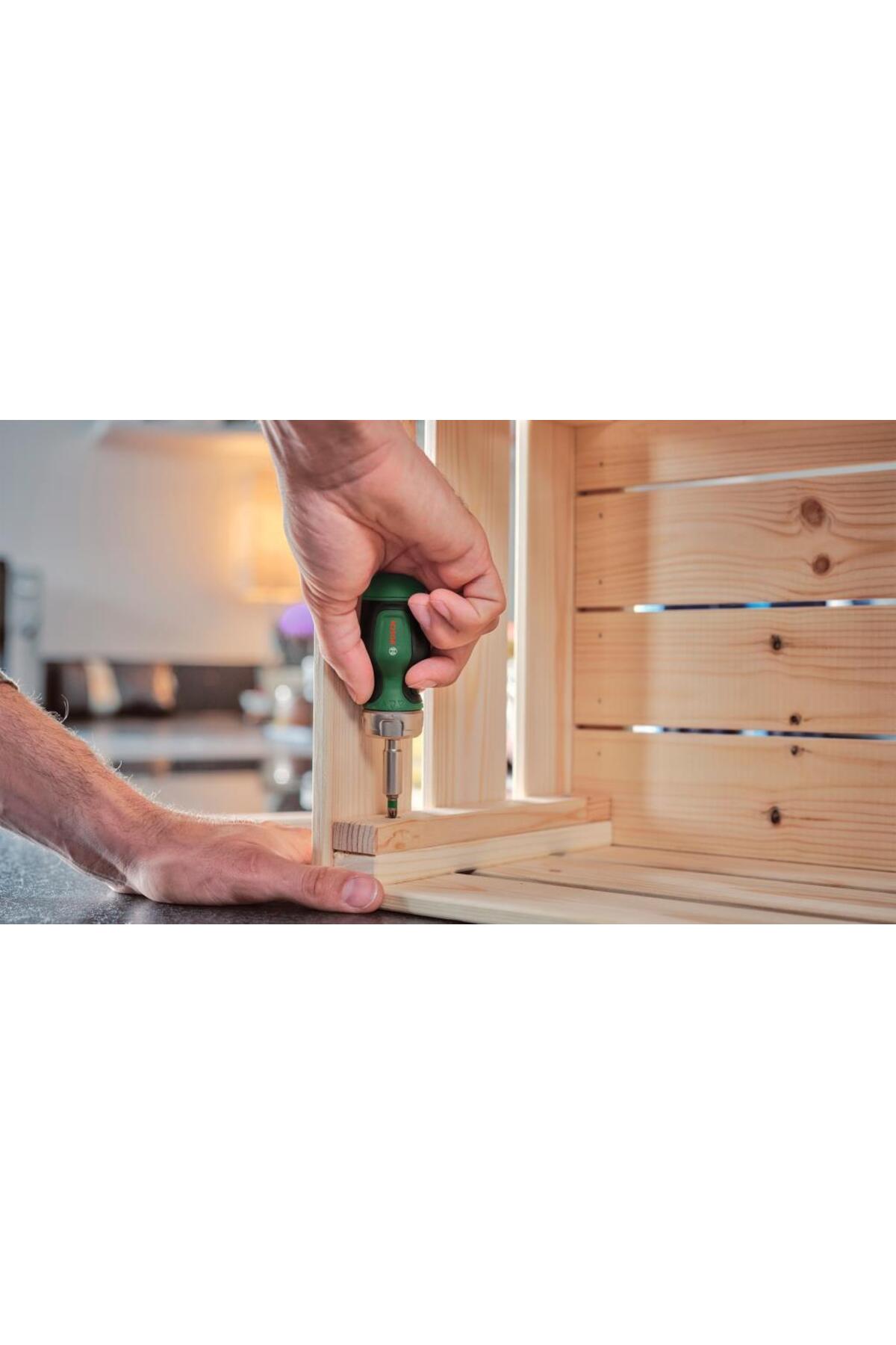 BOSCH Home And Garden Cırcırlı Tornavida Değiştirilebilir 6 Uçlu Set 2 - 1600a027pn