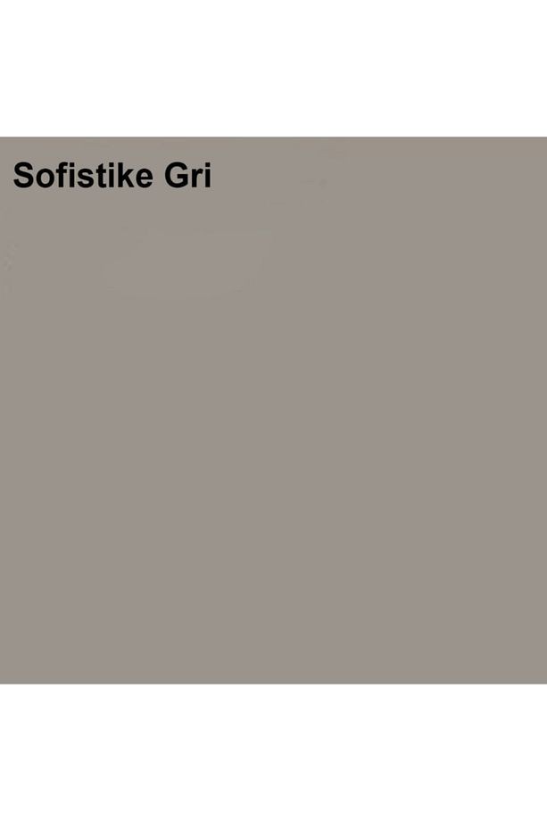 Silikonlu Özel Mat Sofistike Gri 15 Lt (20 Kg)