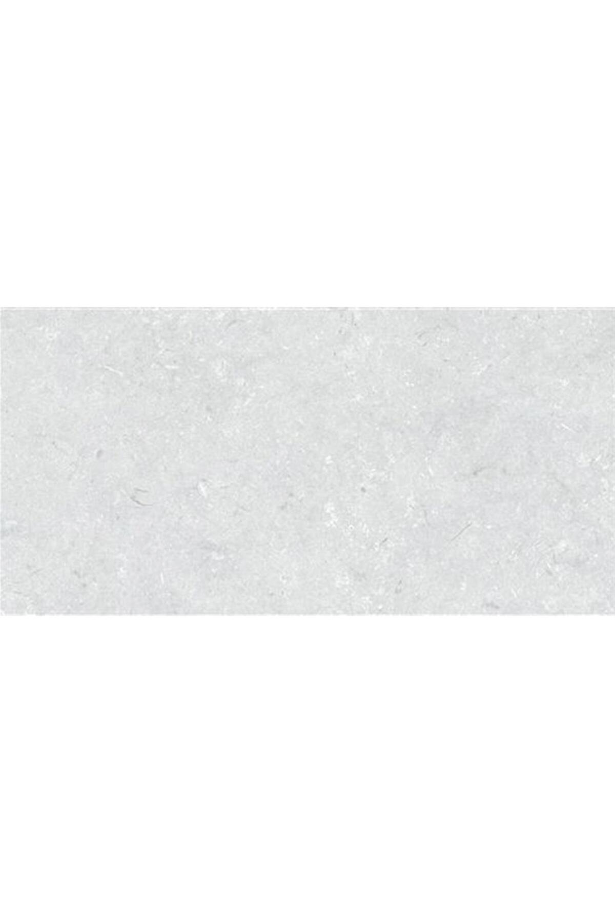 LightStone Fossile Fon Açık Gri Mat Porselen Karo 60x120 K952250R0001VTSP