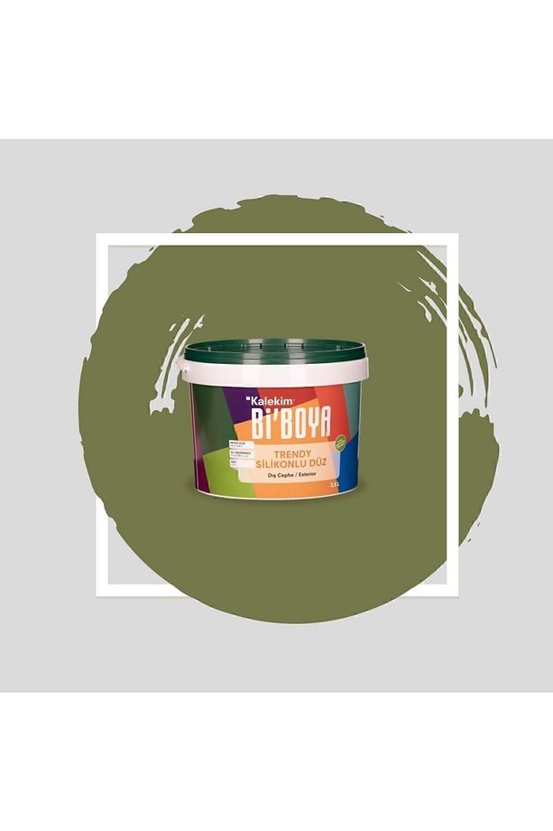 Silikonlu Dış Cephe Boyası 2.5 Lt 4206