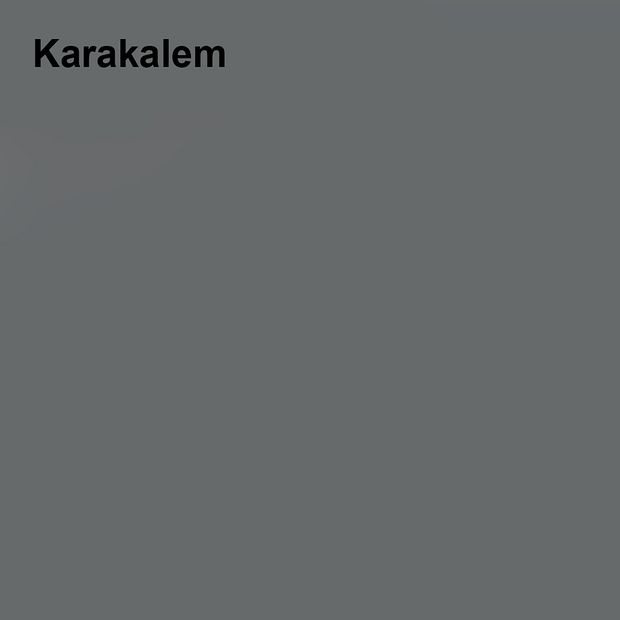 Pastel Yarı Mat Boyası Kara Kalem 2,5 Lt (3,5 LT)