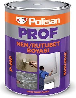 Prof Beyaz Kokusuz Nem ve Rutubet Boyası (P-Mp) 1kg