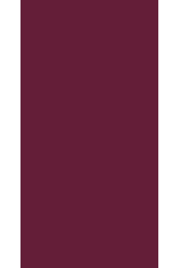 Aqua Pro Ral 4004 Bordeauxviolett Metal Boyası 2,25 lt