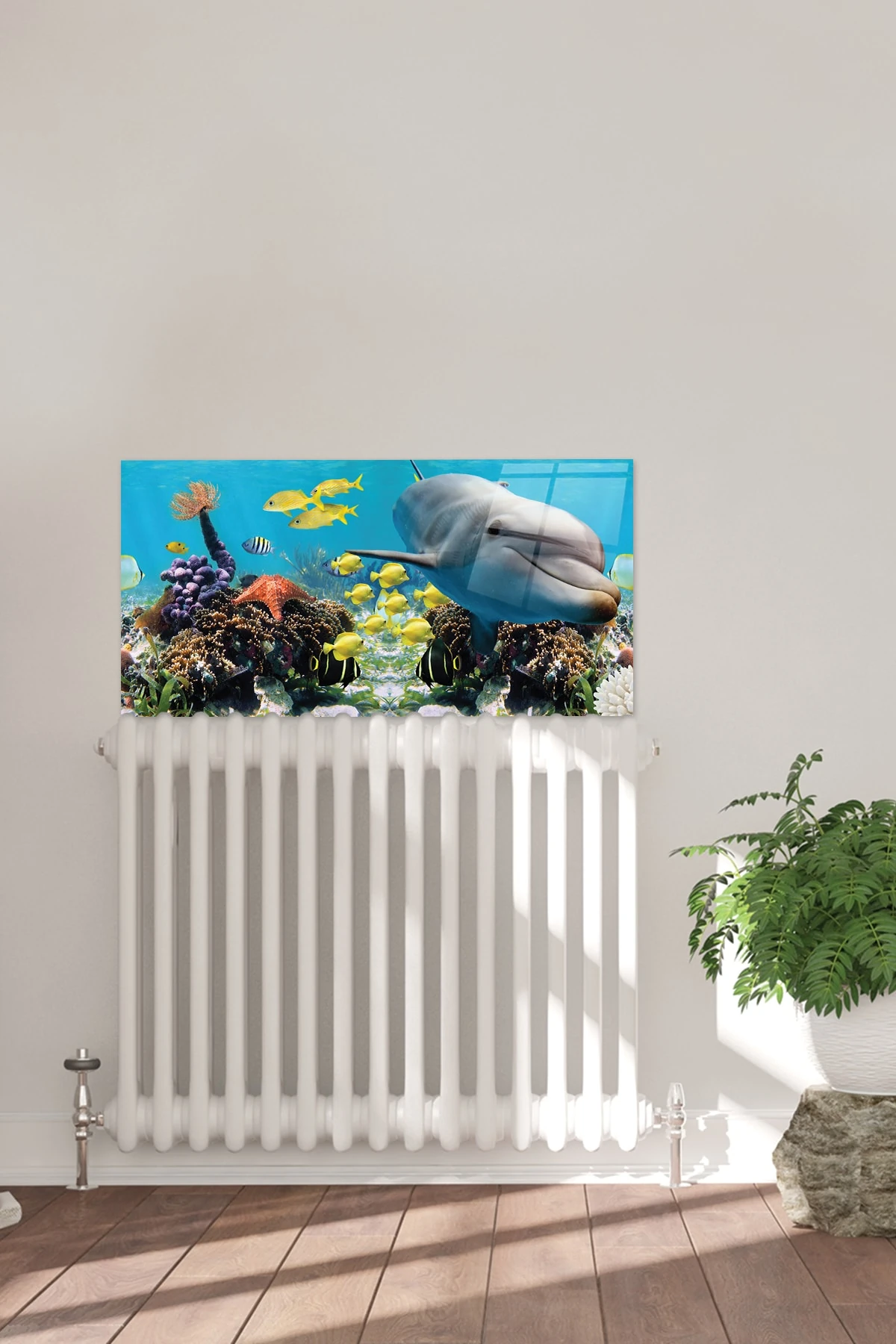 Petek Üstü Cam | Yunuslu Akvaryum | 40cm X 80cm