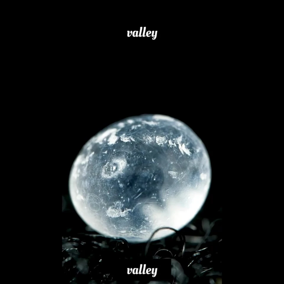 1 Gr Silikajel Nem Alıcı Rutubet Giderici Küf Önleyici Silika Jel 100 Adet