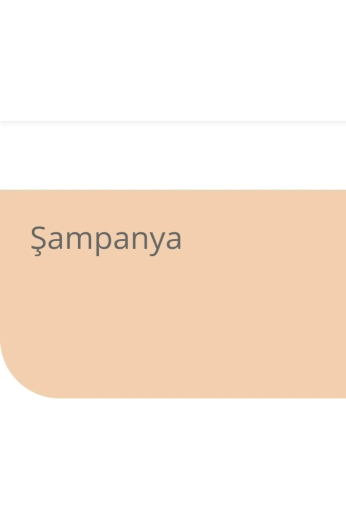 Antibakteriyel Silinebilen Boya Şampanya 2,5 Lt