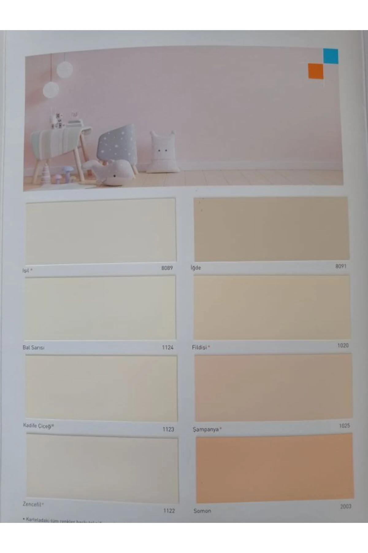 Silikonlu ipek iç cephe boyası silinebilir