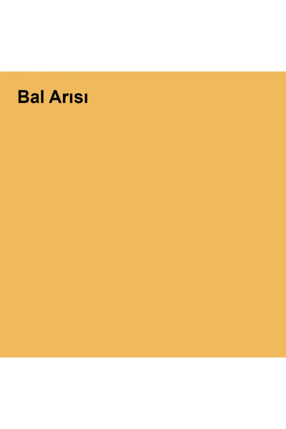 Sil-pak Bal Arısı 2,5lt (3,5 Kg)