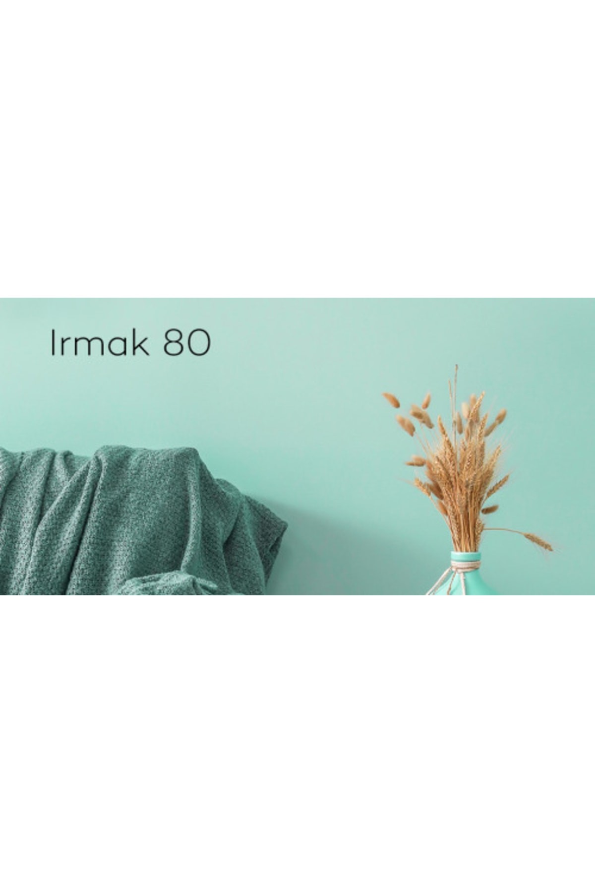 Momento Max Silinebilir Iç Cephe Duvar Boyası 15 LtTavan Boyası 17.5kg Boyama Seti Irmak80