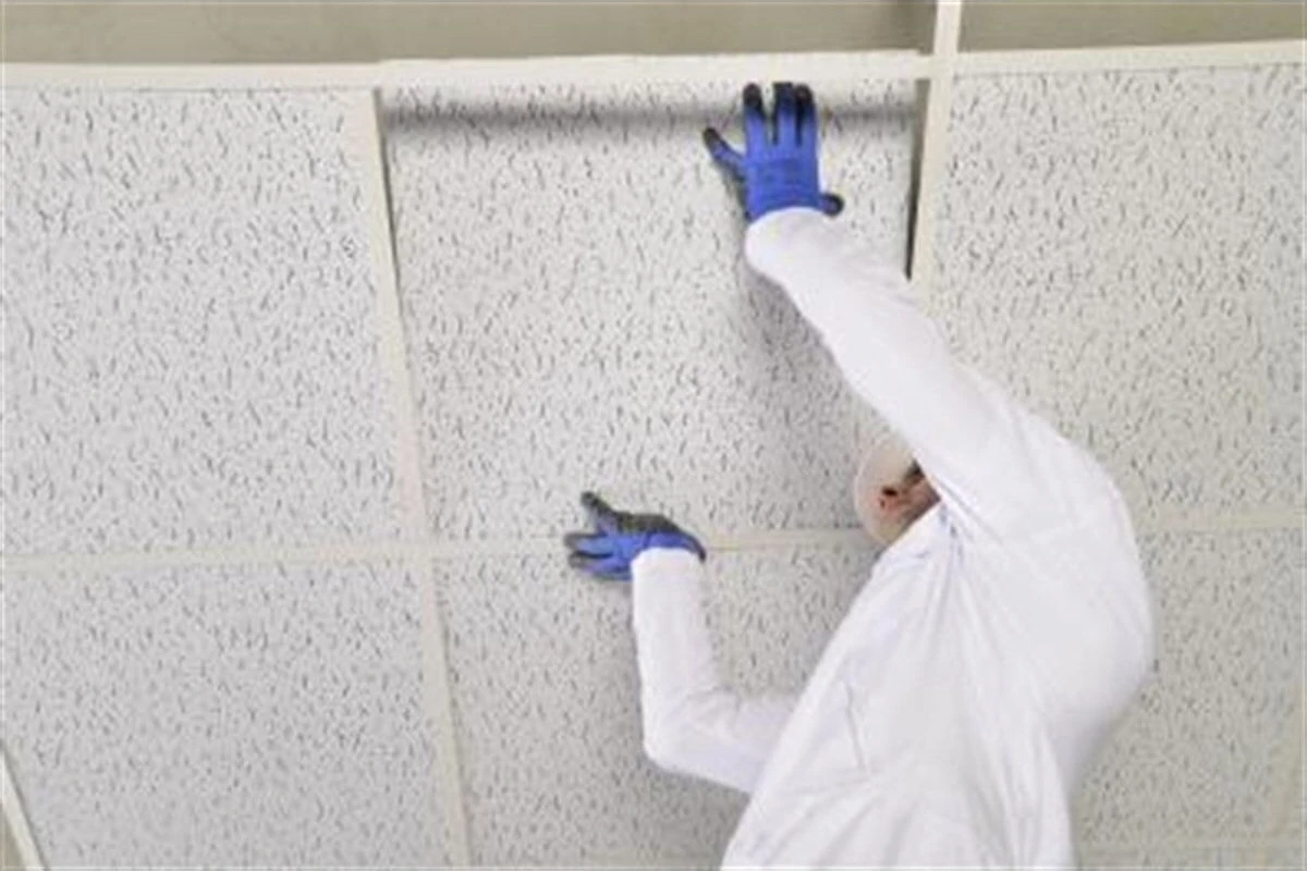 Prosista Asma Tavan Karolam Siyah Kırçıllı 60X60 cm 1pak 10ADET