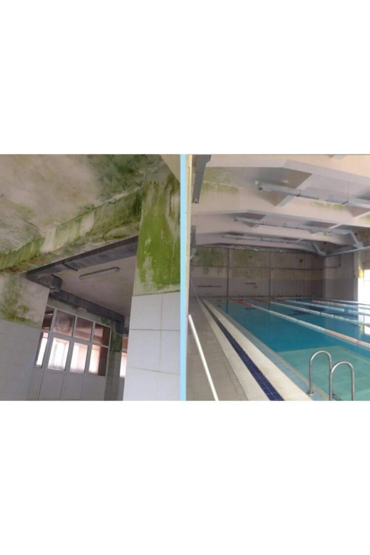 Beyaz Ms82 Nem ve Rutubet Boyası 1 kg