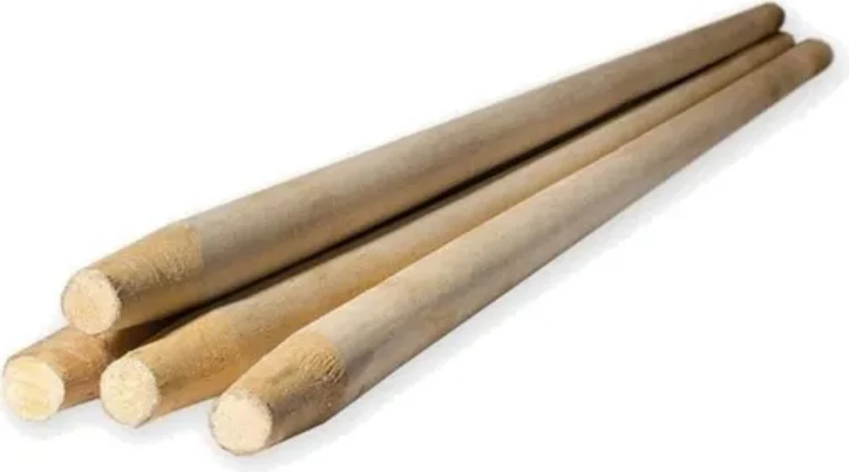 Gürgen Kürek Sapı (140-150)