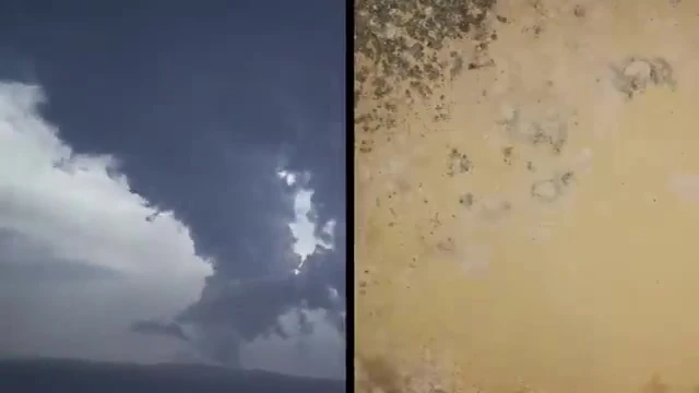 Akrikor Elastomerik Boya K1 2.5 lt 3,5 kg