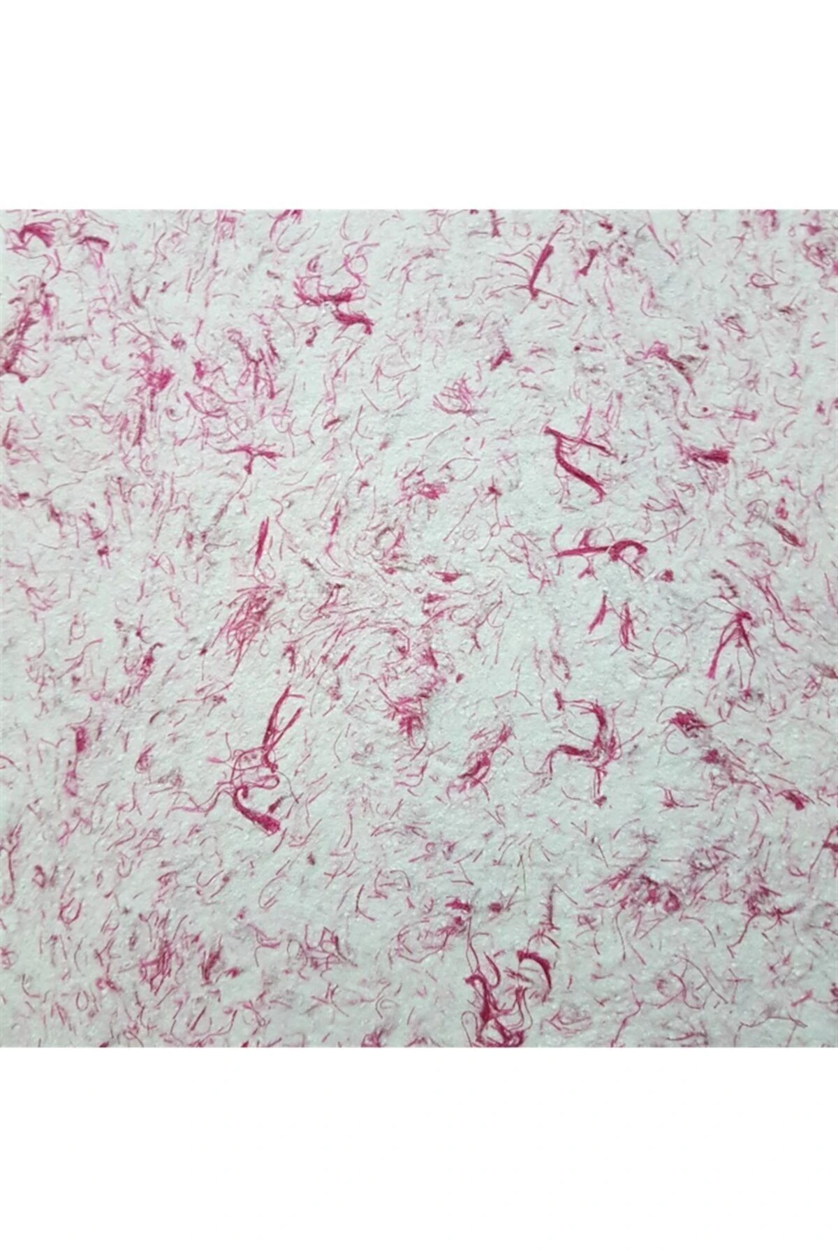 Canlı Dekorasyon Ve Yalıtım Sıvası Minsk 2012