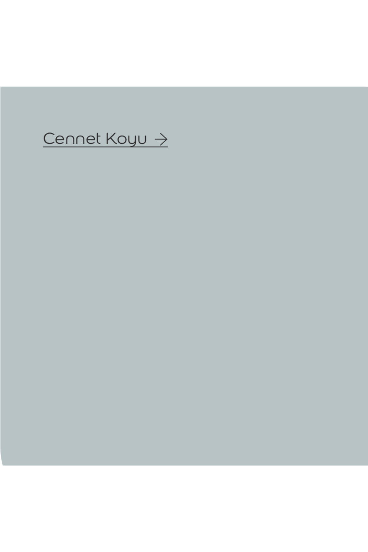 Maximum İç Cephe Boyası Metraj Anavtajı + Rutubet Engelleme