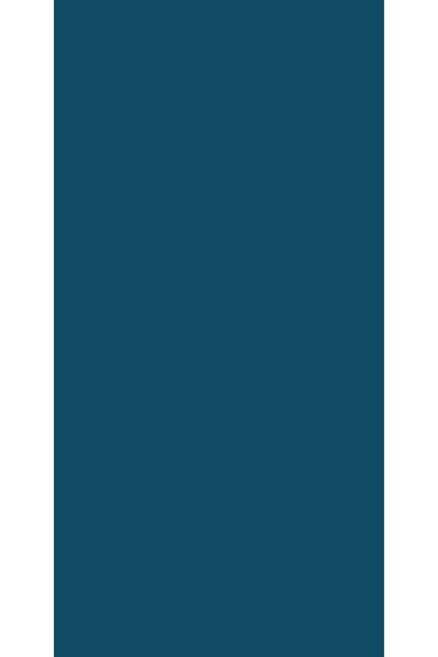 Aqua Pro RAL 5001 Grünblau Metal Boyası 0,9 LT