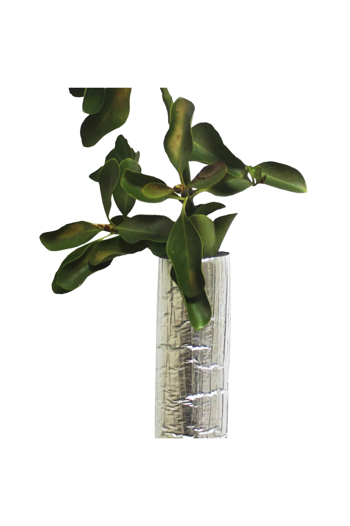 Fidan Koruyucu Folyolu Boru 6 mt (L)