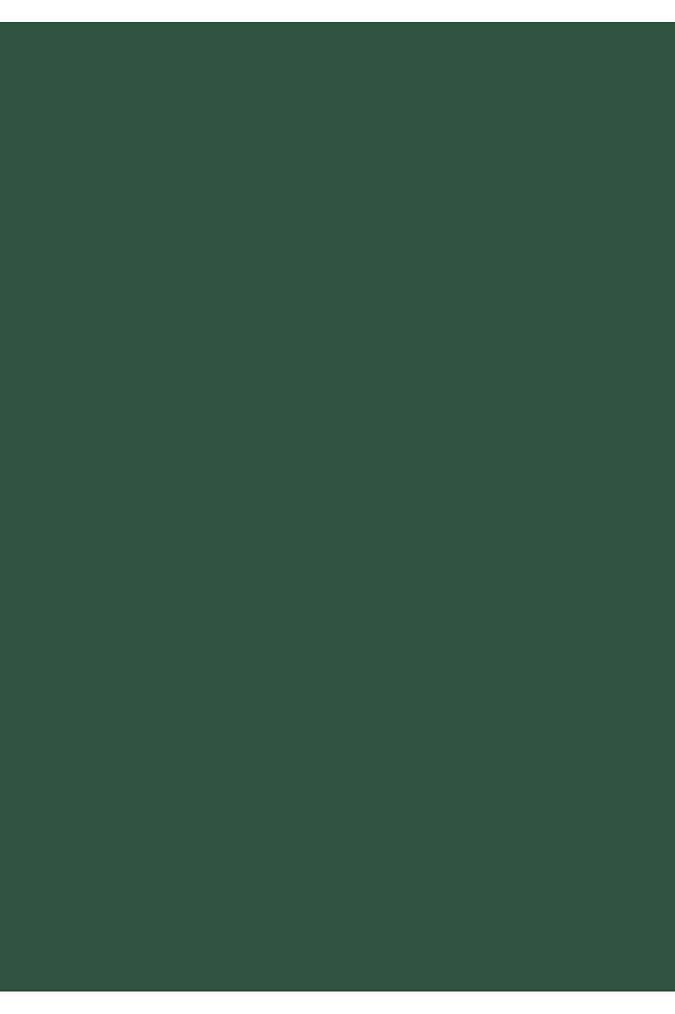 Aqua Pro RAL 6028 Kieferngrün Metal Boyası 0,9 LT