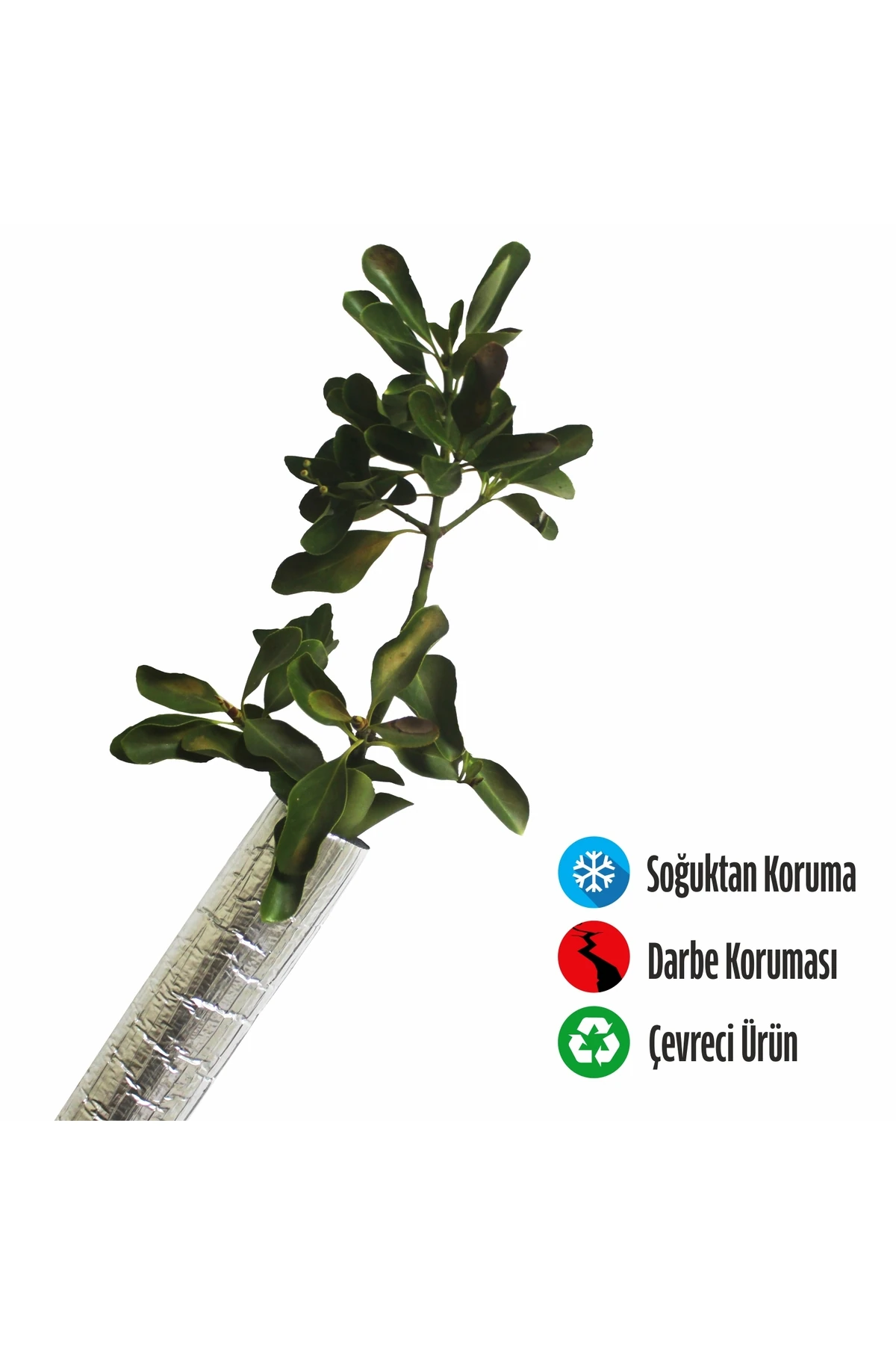 Fidan Koruyucu Folyolu Boru 6 mt (M)