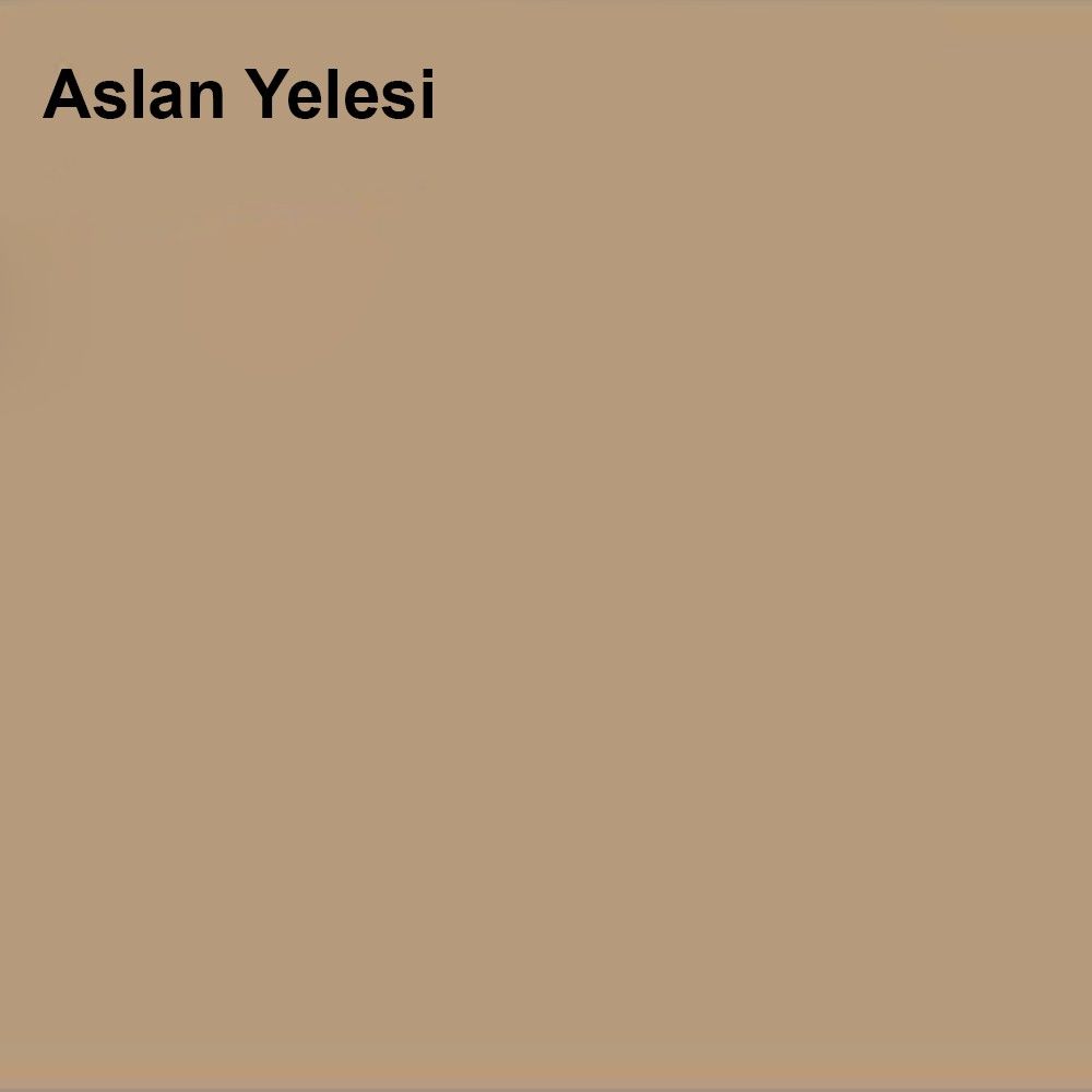 Silikonlu Özel Mat Aslan Yelesi 2,5 Lt (3,5 Kg)