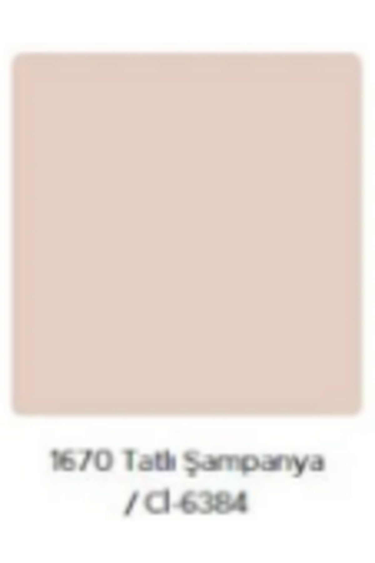 Popüler Ekonomik Fiyatlı İç Cephe Duvar ve Tavan Boyası 3.5 Kg Tatlı Şampanya