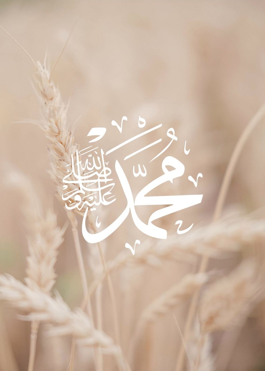 krem Bitkili Allah-Nas-Muhammed Islami Kombini |çerçeveli Cam Tablo 3lü Dikey