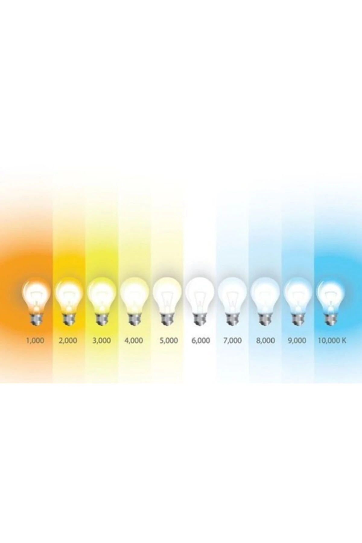 Value 36w 865 E27 3400lm Clt Led Jumbo Torch Ampul