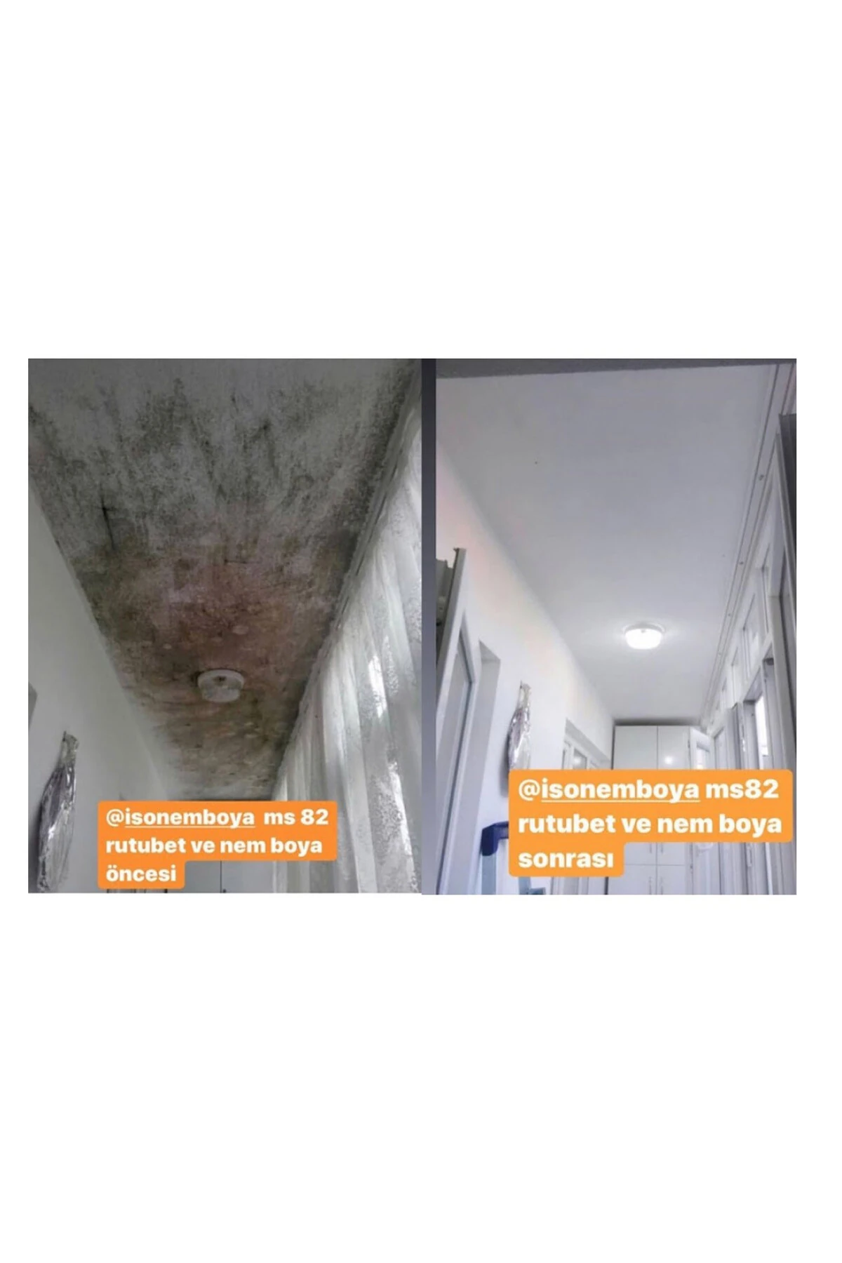 MS82 Rutubetli Yüzey ve Nem Boyası 1 Kg