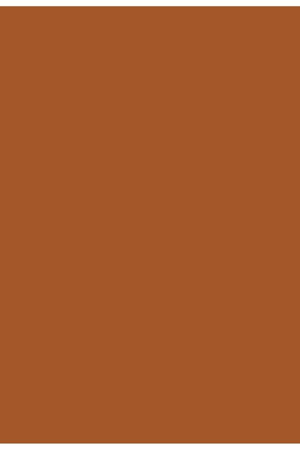 Aqua Pro RAL 8023 Orangebraun Metal Boyası 0,9 LT