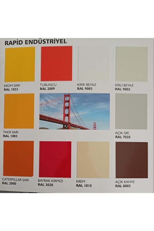Rapid Boya 2,7 kg Canlı Tonlar