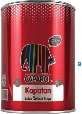 FİLLİ Caparol Kapatan 2,5 Lt.