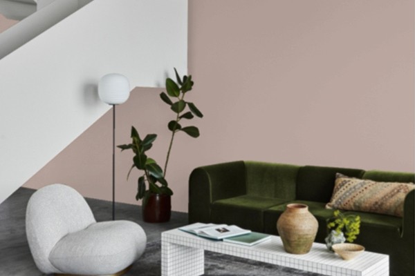 Pudra 2845 Fenomastic Mat 2 lt