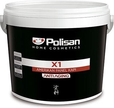 Siyah Renk X1 Amerikan Panel Kapı Boyası 2,5l