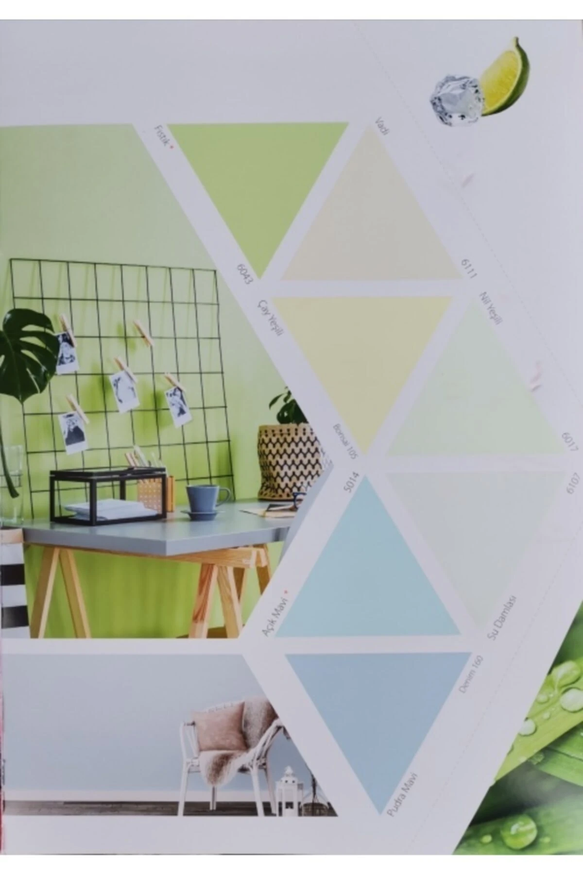 Plastik Su Bazlı Iç Cephe Boyası 20 Kg Kadife Çiçeği Rengi