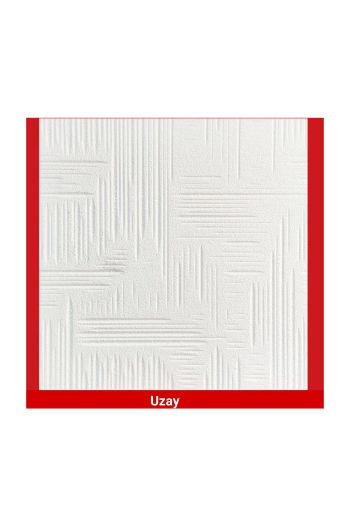 Stropiyer Stropiyer Tavan Kapmama Paneli Uzay Modeli 10.m2