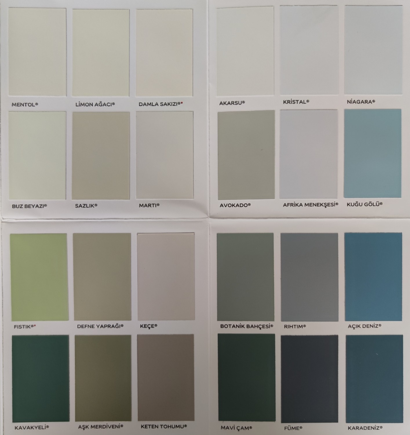 Panel Kapı Boyası ve Boyama Seti 2,5l.