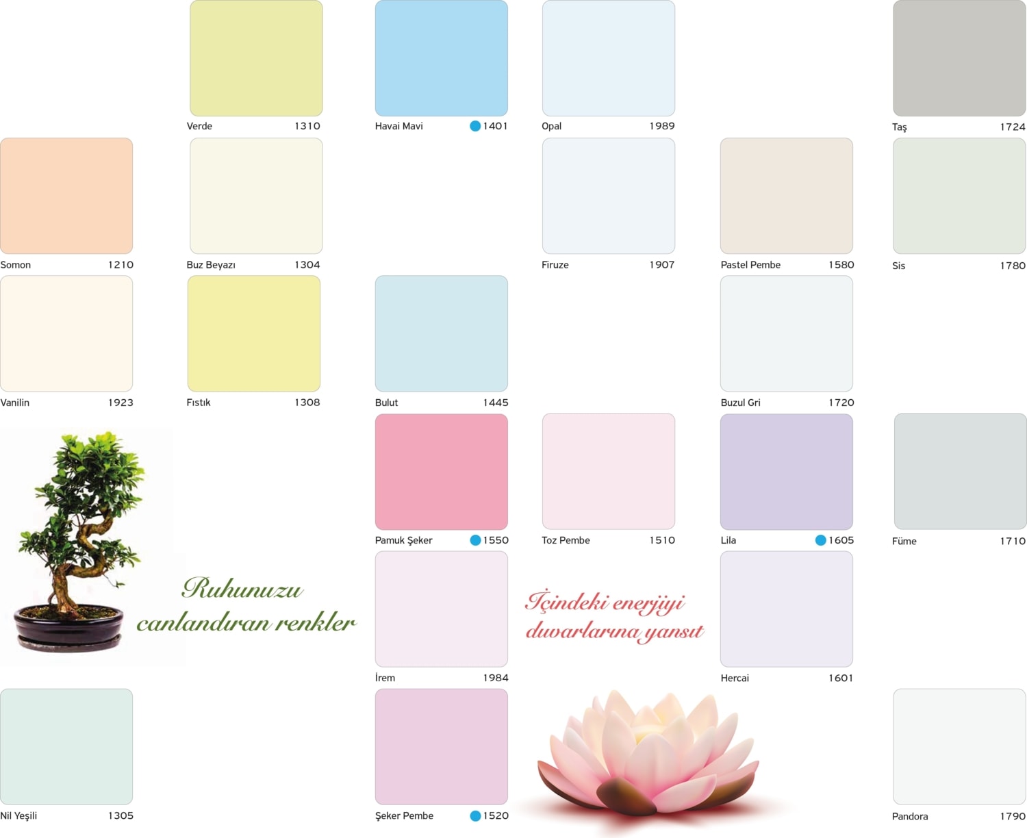 Momento Silan 2,5 Lt Renk: Toz Pembe