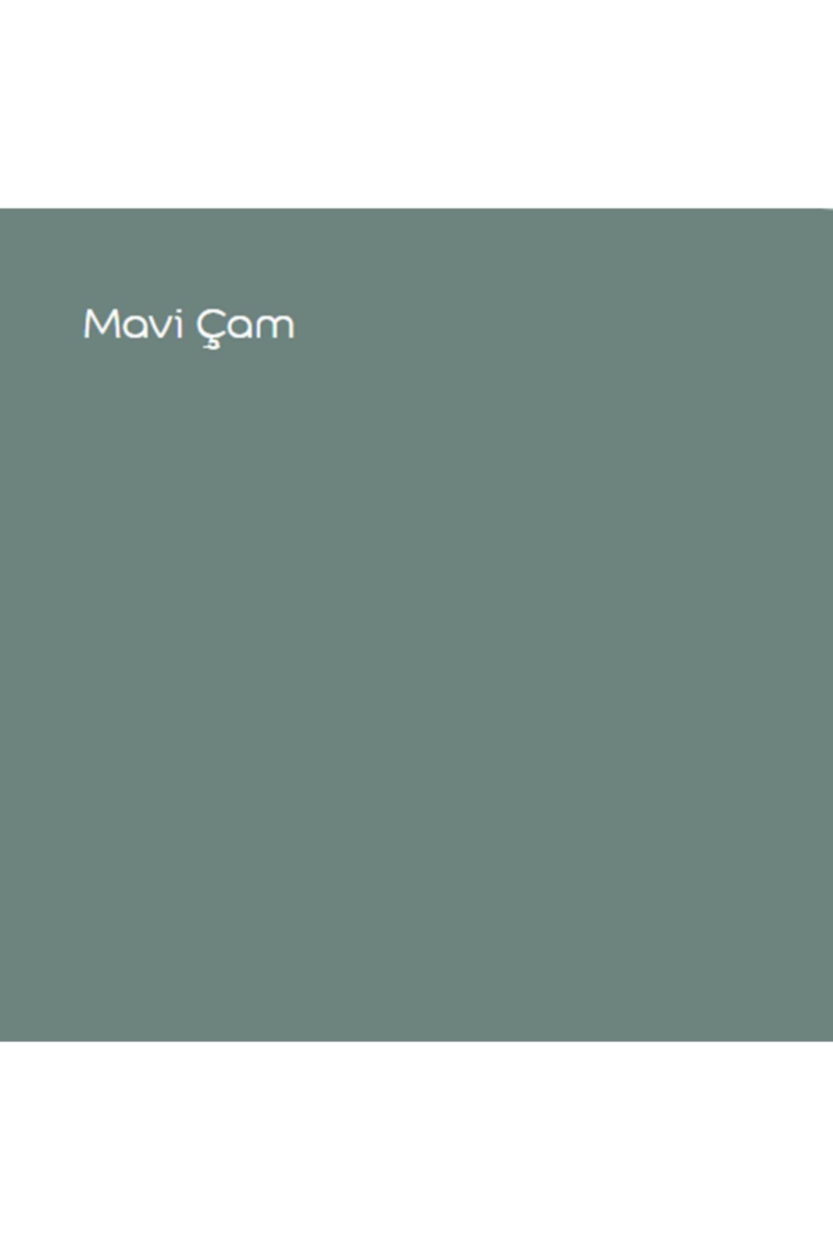 Silikonlu Özel Mat Mavi Çam 0,75 Lt (1 Kg)