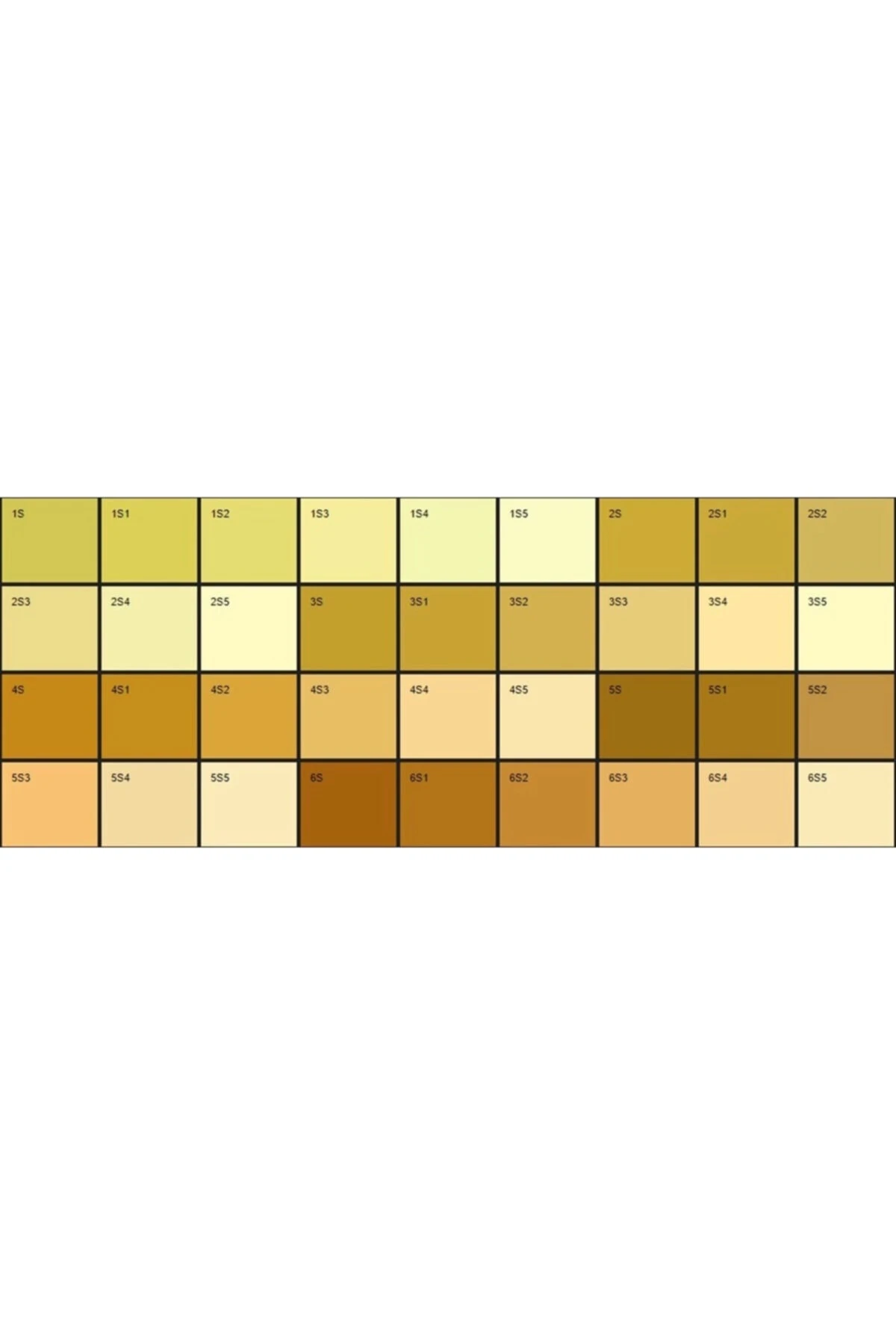 Filli Amphisilan 15 Lt Dış Cephe Boyası - Beyaz Renk