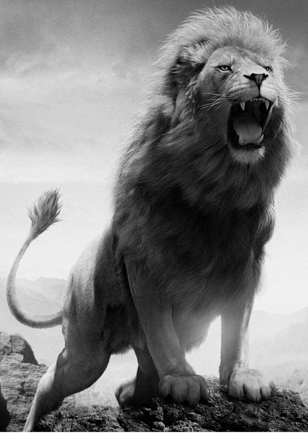 Aslan Kaplan Leopar Tablosu Çerçeveli Temperli Cam Tablo 3'lü