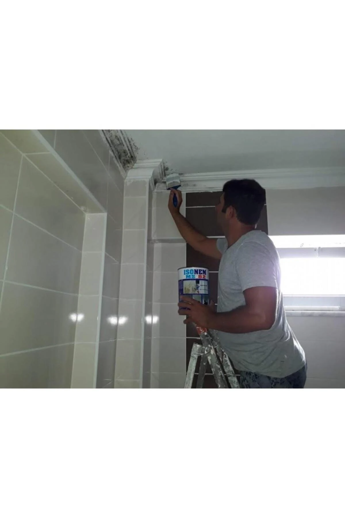 Ms 82 Rutubet Nem Küf Boyası 1 Kg Beyaz