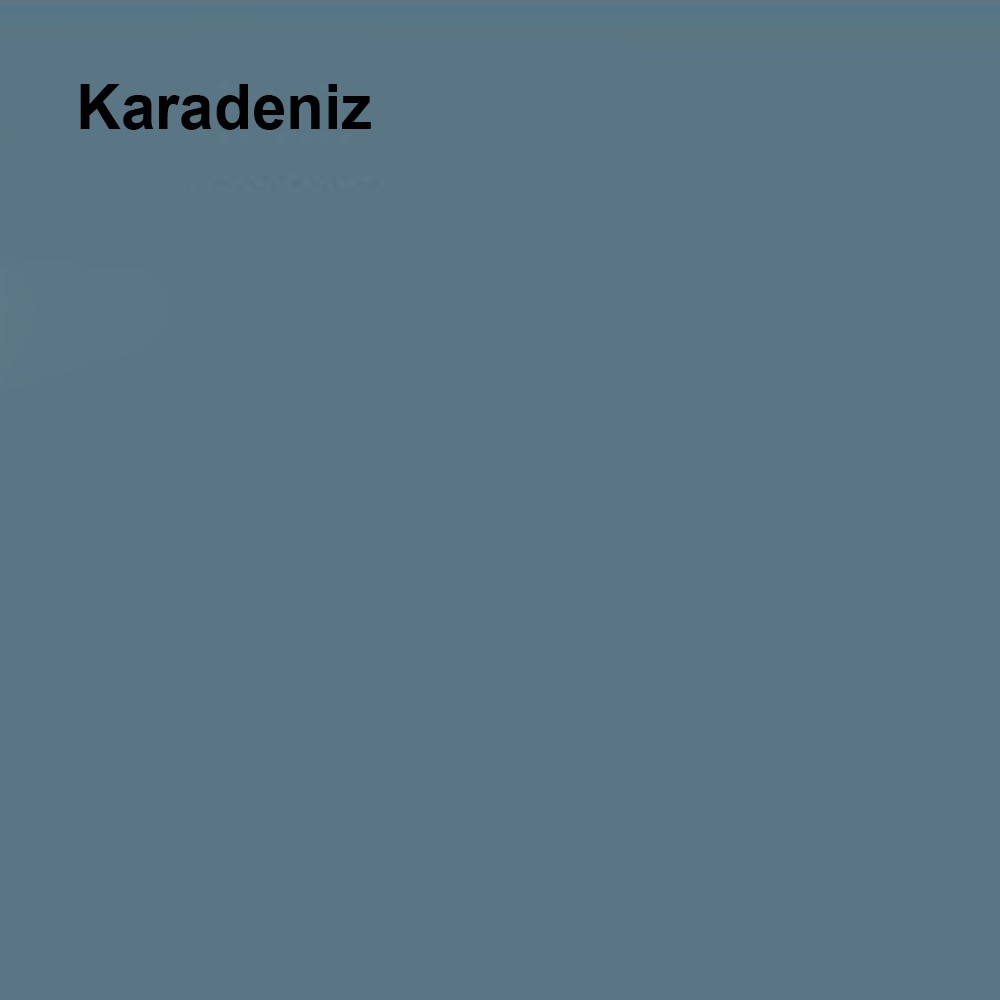 Maximum Mat Silikonlu Karadeniz 2,5 Lt. (3,5 Kg)