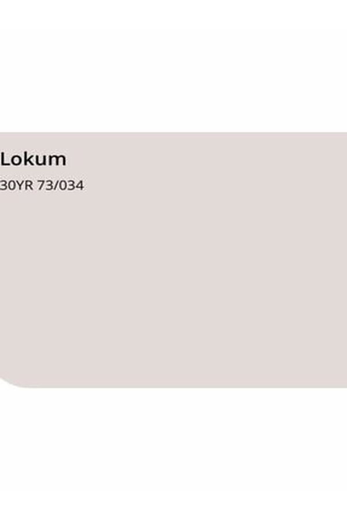 Fit Plastik Mat Iç Cephe Boyası Lokum 20 Kg