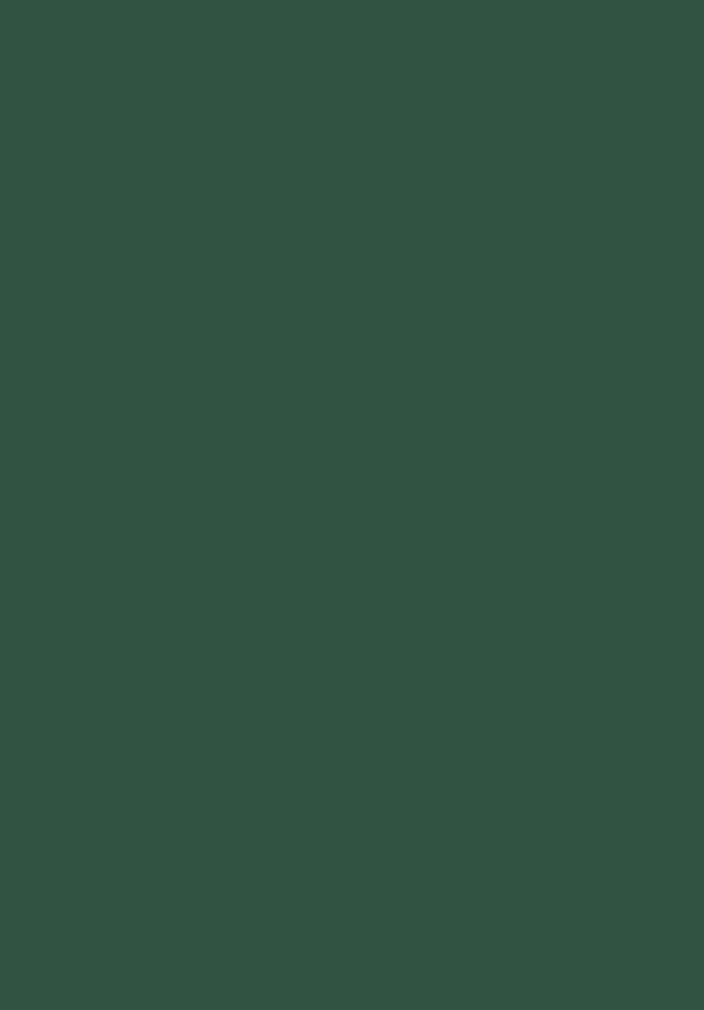 Aqua Pro Ral 6028 Kieferngrün Metal Boyası 0,9 Lt