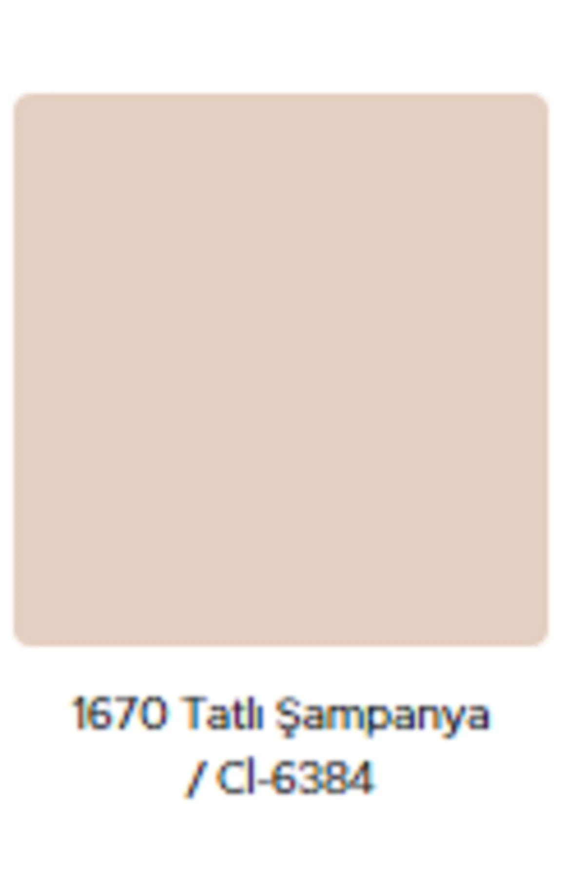 Popüler Plastik Mat Duvar Boyası 3.5 kg Tatlı Şampanya Rengi